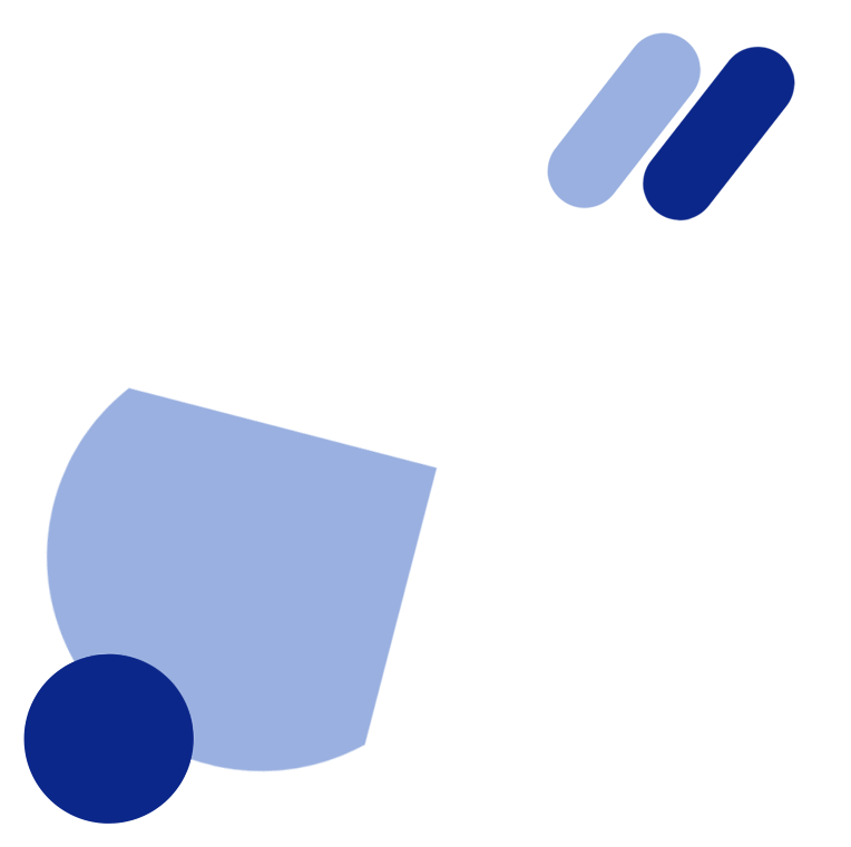 AI Chip